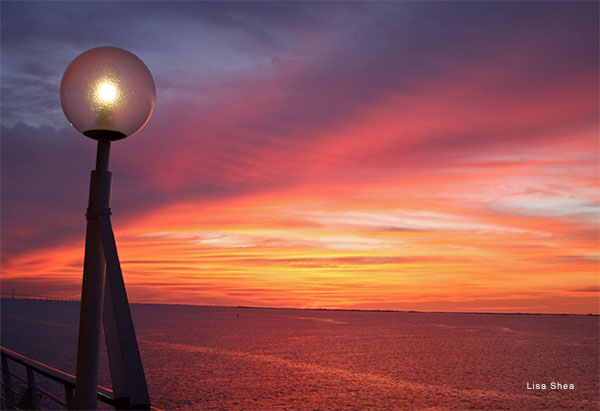 Tampa Bay Sunset by Lisa Shea